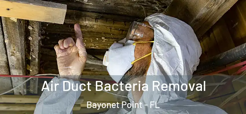 Air Duct Bacteria Removal Bayonet Point - FL