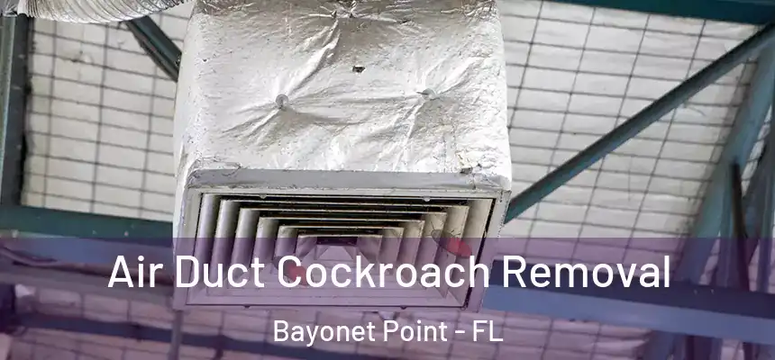 Air Duct Cockroach Removal Bayonet Point - FL