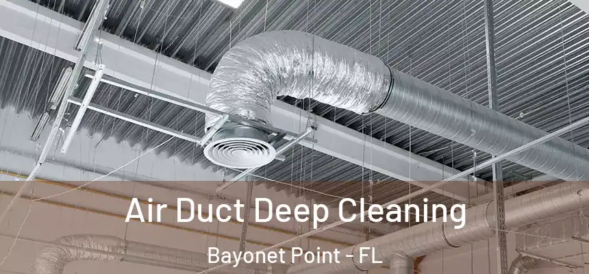 Air Duct Deep Cleaning Bayonet Point - FL