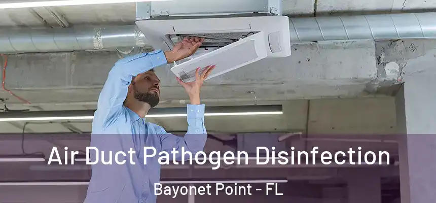 Air Duct Pathogen Disinfection Bayonet Point - FL