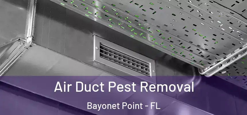 Air Duct Pest Removal Bayonet Point - FL