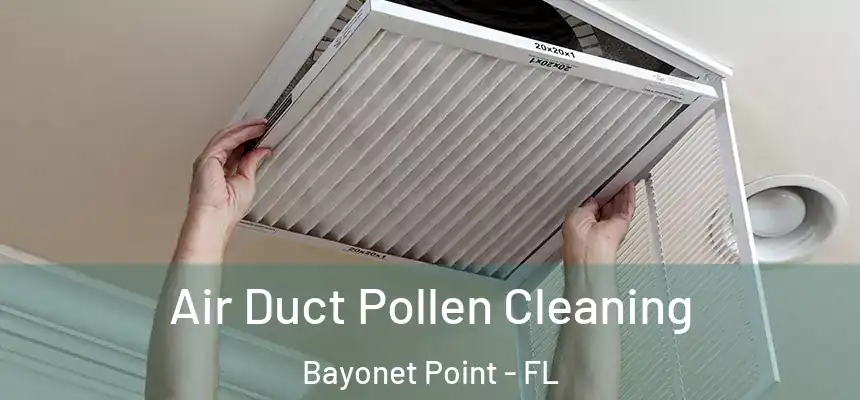 Air Duct Pollen Cleaning Bayonet Point - FL