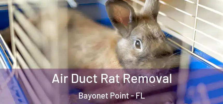 Air Duct Rat Removal Bayonet Point - FL
