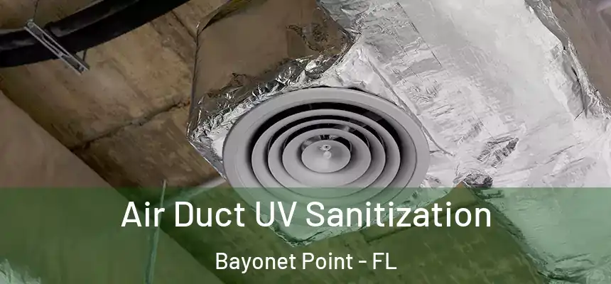 Air Duct UV Sanitization Bayonet Point - FL