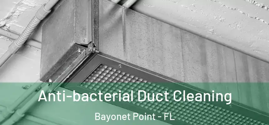 Anti-bacterial Duct Cleaning Bayonet Point - FL