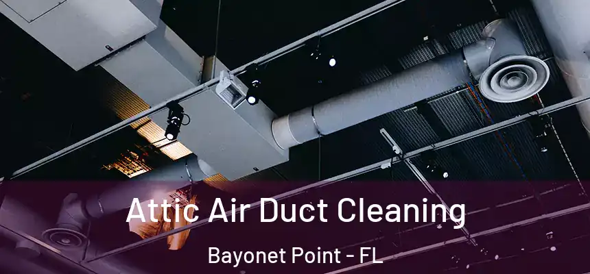 Attic Air Duct Cleaning Bayonet Point - FL