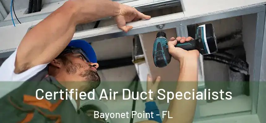 Certified Air Duct Specialists Bayonet Point - FL