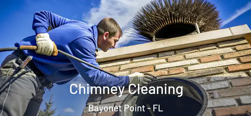 Chimney Cleaning Bayonet Point - FL