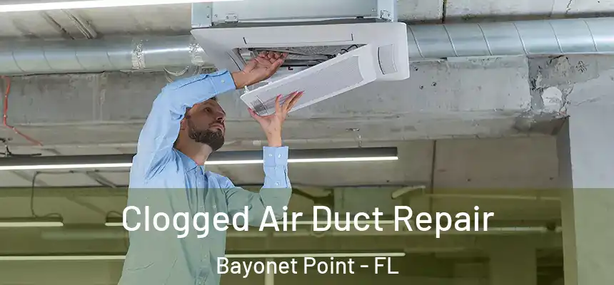 Clogged Air Duct Repair Bayonet Point - FL