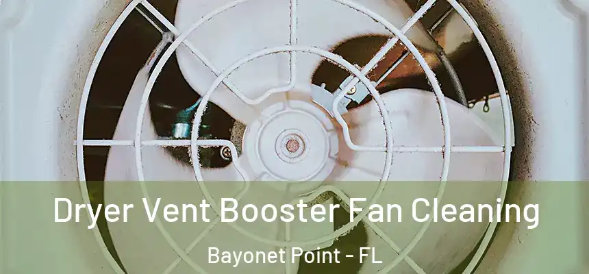 Dryer Vent Booster Fan Cleaning Bayonet Point - FL