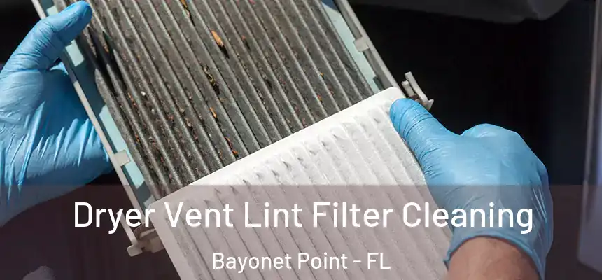Dryer Vent Lint Filter Cleaning Bayonet Point - FL