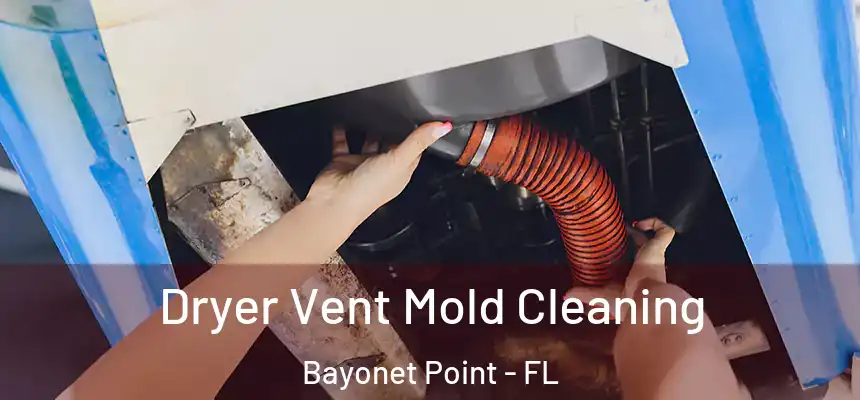Dryer Vent Mold Cleaning Bayonet Point - FL