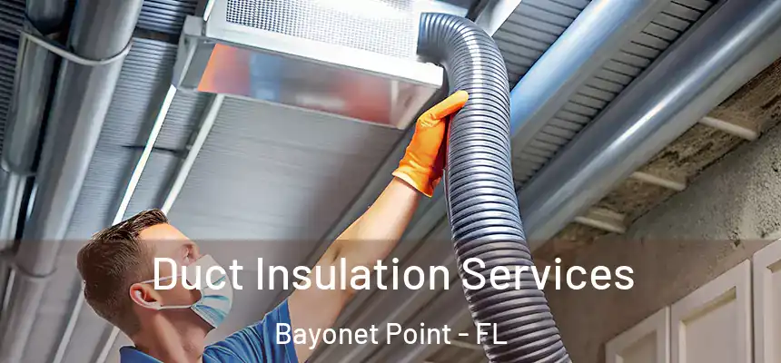 Duct Insulation Services Bayonet Point - FL