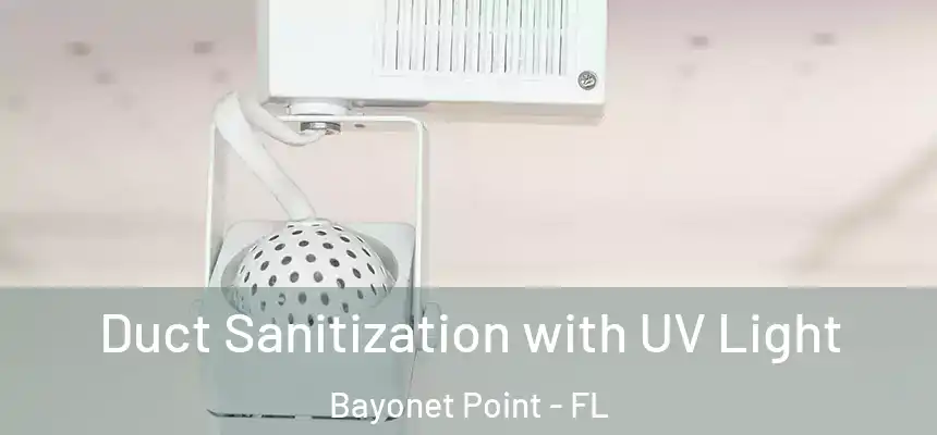 Duct Sanitization with UV Light Bayonet Point - FL