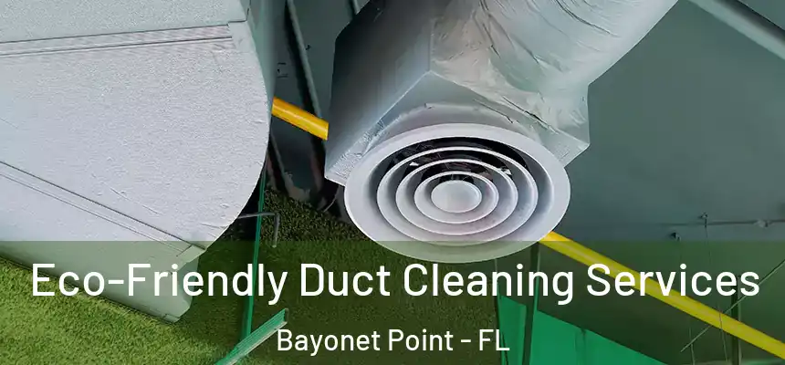 Eco-Friendly Duct Cleaning Services Bayonet Point - FL