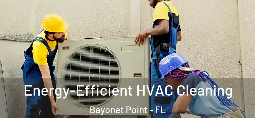Energy-Efficient HVAC Cleaning Bayonet Point - FL