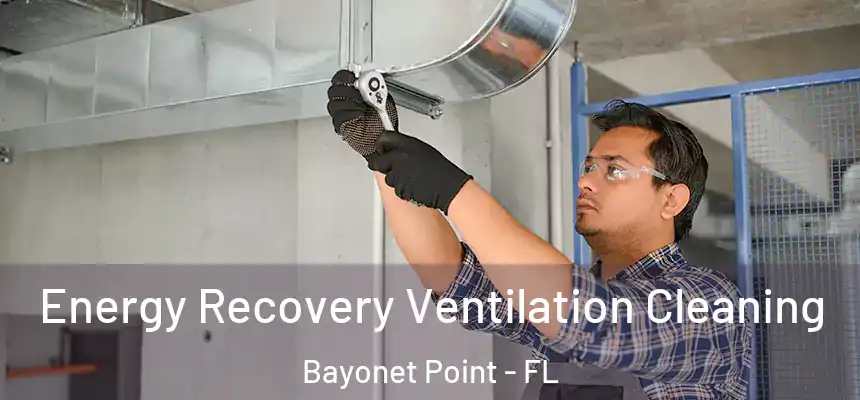 Energy Recovery Ventilation Cleaning Bayonet Point - FL