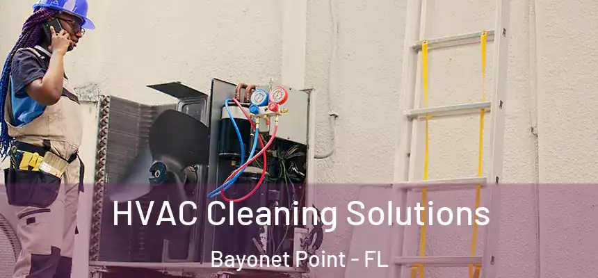 HVAC Cleaning Solutions Bayonet Point - FL