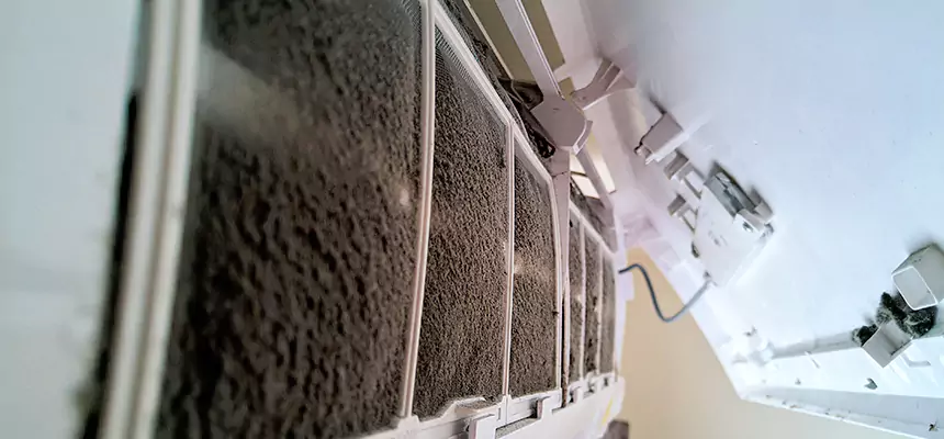 Preventive Air Duct Bacteria Removal in Bayonet Point