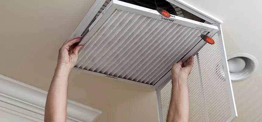Preventive Cockroach-Proofing for Ducts in Bayonet Point
