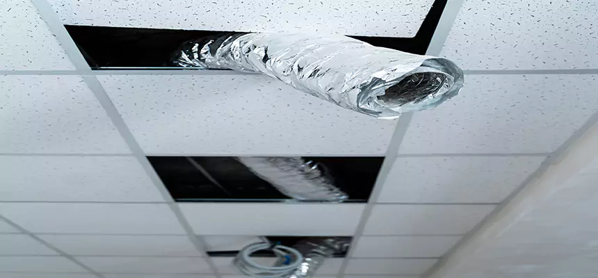 Affordable HVAC Sanitizing After Pest Removal in Bayonet Point