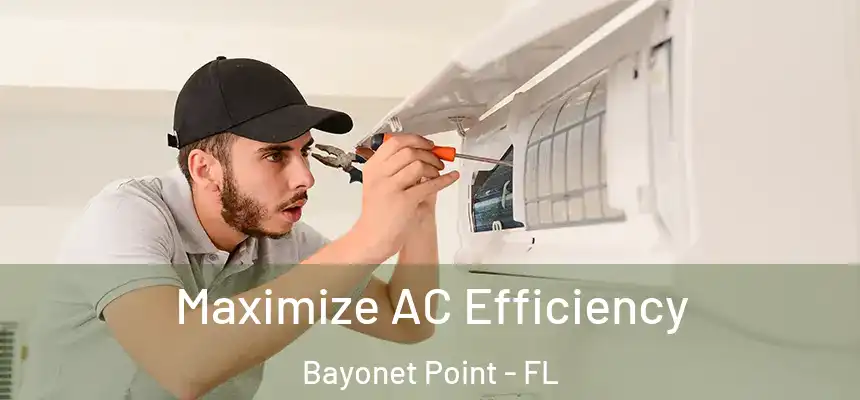 Maximize AC Efficiency Bayonet Point - FL