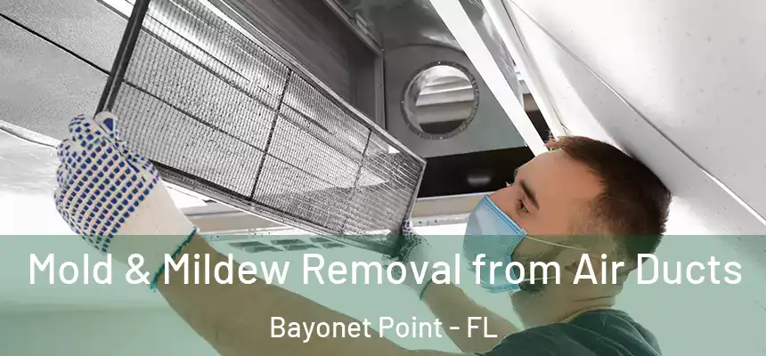 Mold & Mildew Removal from Air Ducts Bayonet Point - FL