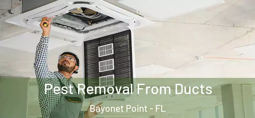 Pest Removal From Ducts Bayonet Point - FL