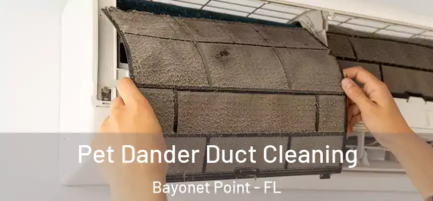 Pet Dander Duct Cleaning Bayonet Point - FL