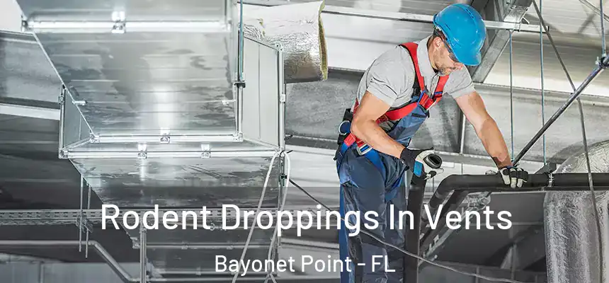 Rodent Droppings In Vents Bayonet Point - FL