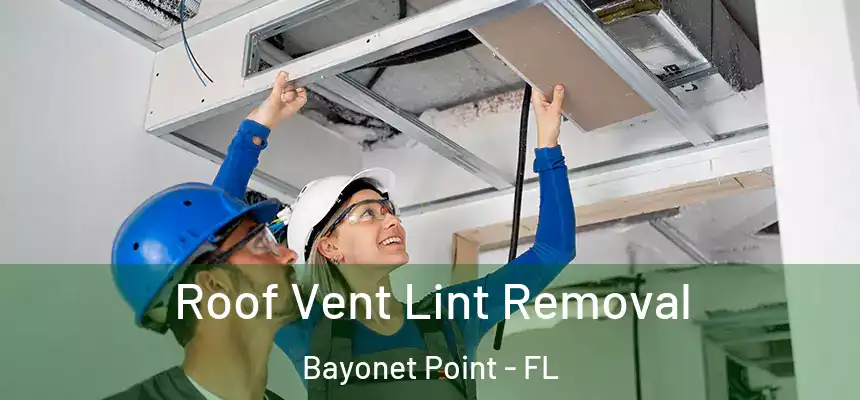 Roof Vent Lint Removal Bayonet Point - FL