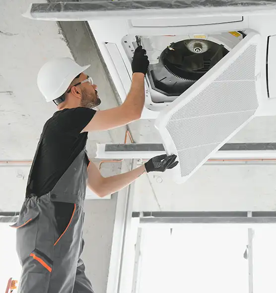 About Air Duct Rodent Removal in Bayonet Point, FL