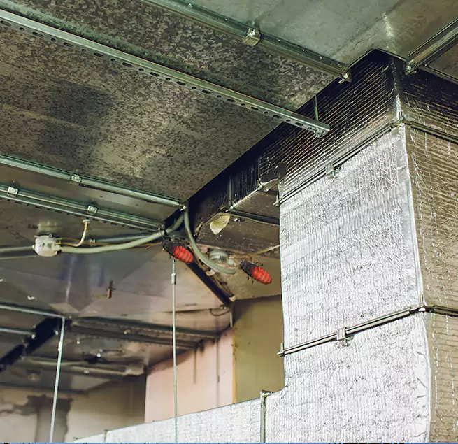 Why Homeowners & Businesses Trust Us Bayonet Point, FL?