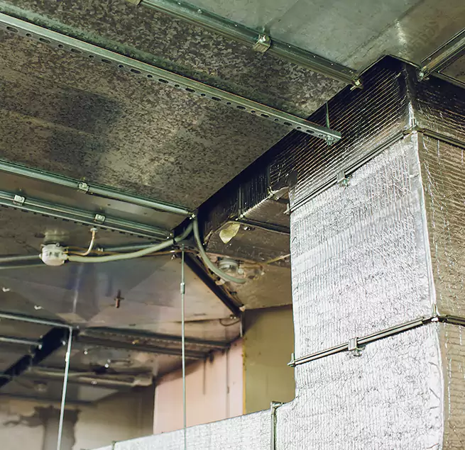 Why Homeowners & Businesses Trust Us in Bayonet Point, FL?