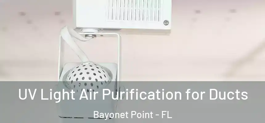 UV Light Air Purification for Ducts Bayonet Point - FL
