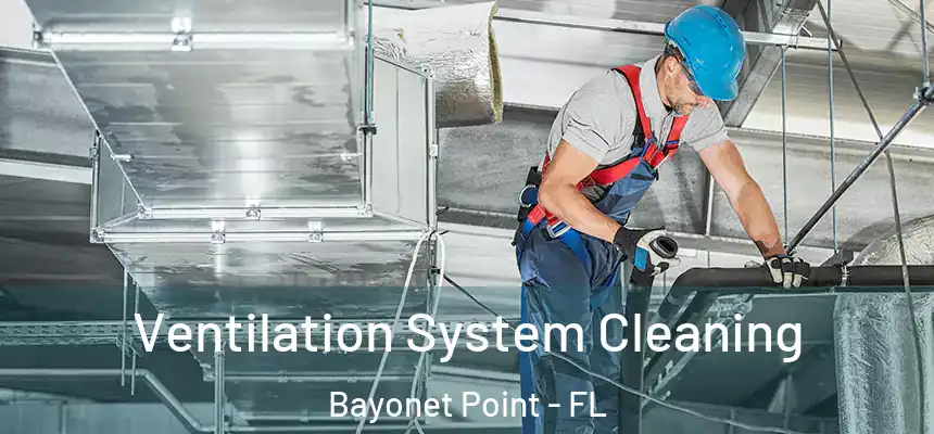 Ventilation System Cleaning Bayonet Point - FL