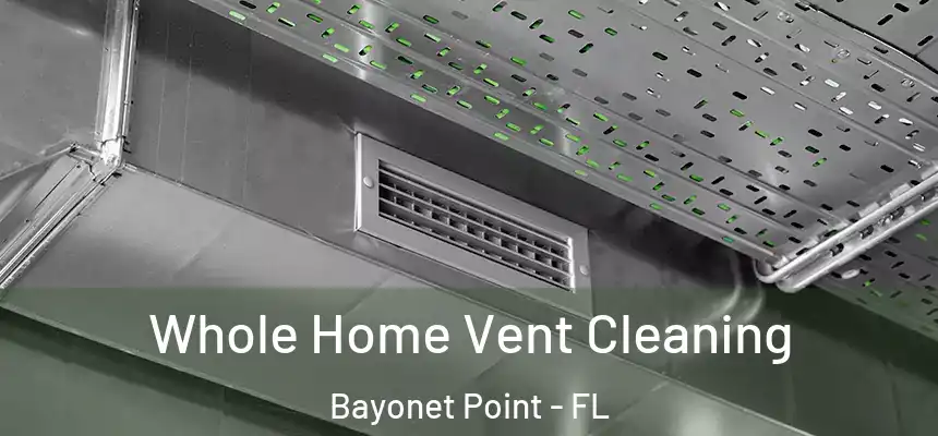 Whole Home Vent Cleaning Bayonet Point - FL