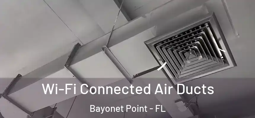 Wi-Fi Connected Air Ducts Bayonet Point - FL